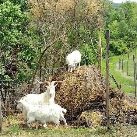 La Castellana Vakantieboerderij Assisi