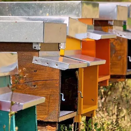 La Castellana Assisi