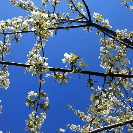 La Castellana * Assisi