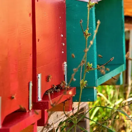 Vakantieboerderij La Castellana