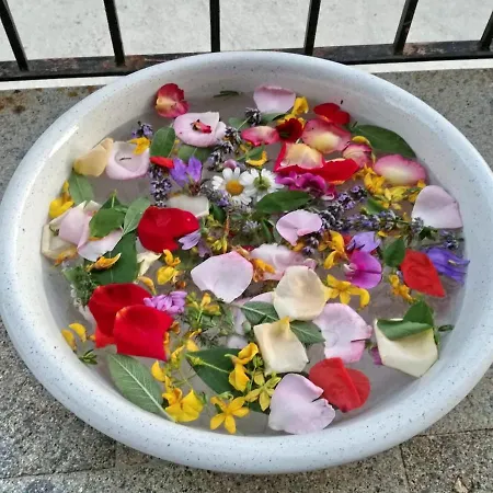 Agroturismo La Castellana *