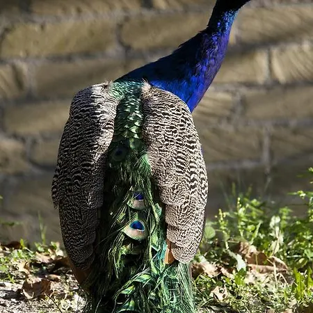 La Castellana Vakantieboerderij