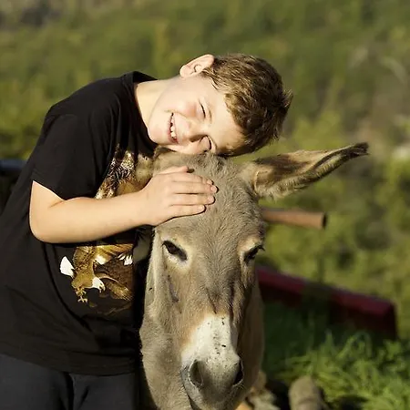 La Castellana Agroturismo Asís