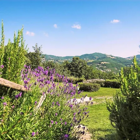 Agroturismo La Castellana Asís