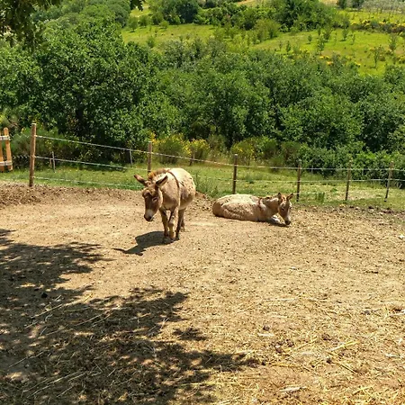 La Castellana Alloggio per agriturismo