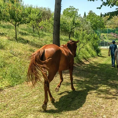 Alloggio per agriturismo La Castellana