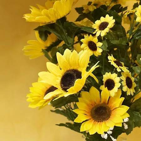 Agroturismo La Castellana Asís